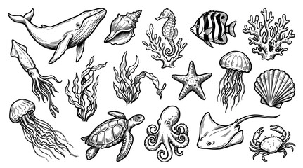 Fototapeta premium Detailed black and white ocean creatures and marine life elements are hand-drawn in a vintage sketch style on a clean white background