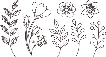 Elegant hand drawn line art floral and leafy elements collection featuring minimalist garden flower blossoms branches and berries vector illustration.Elegant hand drawn line art floral and leafy eleme © MdAnowar