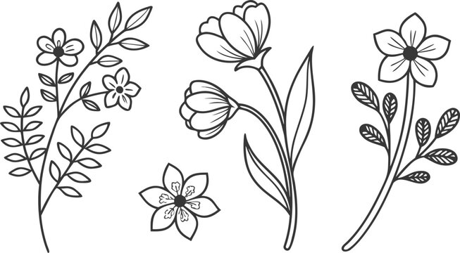 Elegant botanical floral branch line art illustration set featuring minimalist hand drawn wild flowers buds and decorative garden leaves vector.Elegant botanical floral branch line art illustration se