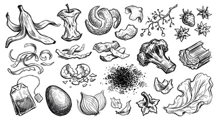 Obraz premium Various hand-drawn organic food waste items, including banana peel, apple core, and vegetable scraps, rendered in a detailed sketch style on a white background