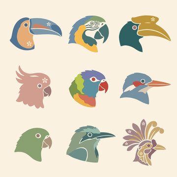 Colorful Bird Heads and Beaks Illustration.