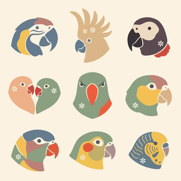 Colorful parrot bird heads illustration.