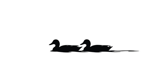 duck silhouettes on white background silhouette ducks