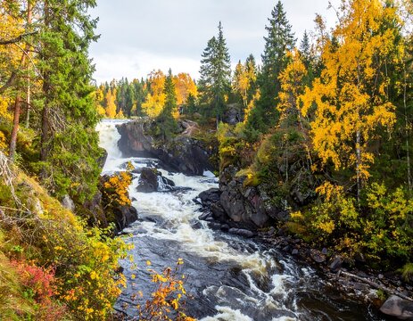 Powerful River Rapids Flowing Through Colorful Autumn Forest Gorge