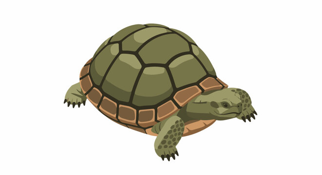 A pixelated illustration of a terrestrial turtle with a green shell