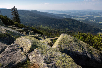 Fototapeta premium Ancient granite blocks of the Stone Sea at Dreisessel surrounded by mountain pine and forest wilderness