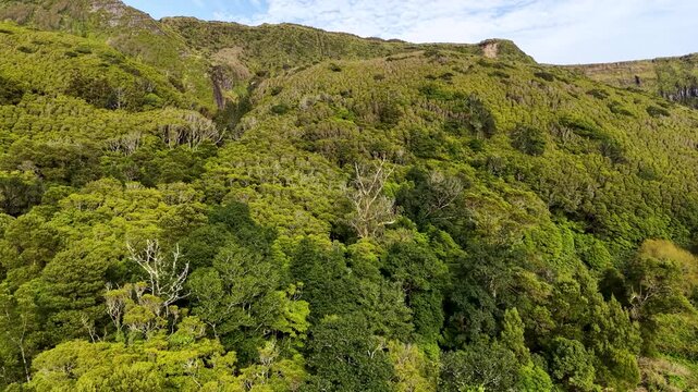 Cinematic reveal of cascading waterfalls emerging across the green volcanic cliffs at Poco da Ribeira do Ferreiro in the Azores Portugal