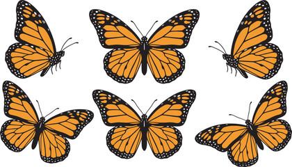 Collection of monarch butterflies in various flying positions © BipashaSketches 