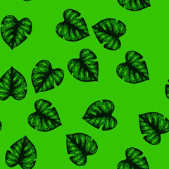 pattern outline monstera leaf hand drawn. leaves palm, silhouette line, vector texture outline monstera leaf vector sketch illustration © PikePicture
