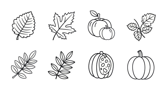 Hand-drawn leaves and pumpkins illustrations for autumn-themed designs and crafts.