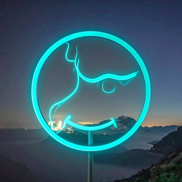 Glowing neon circle sculpture against starry night sky