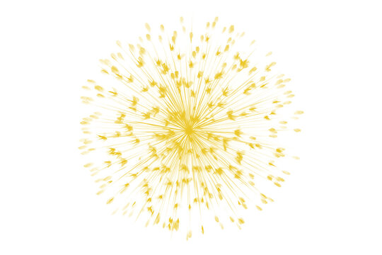 Single golden firework burst transparent as isolated element