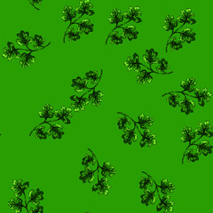 Obraz premium pattern cilantro coriander hand drawn. top view, parsley fresh, seed bunch cilantro coriander vector sketch illustration
