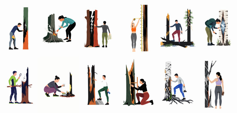 Flat vector collection of researchers and hikers inspecting burnt and lightning-struck trees in a forest, analyzing environmental damage and nature.