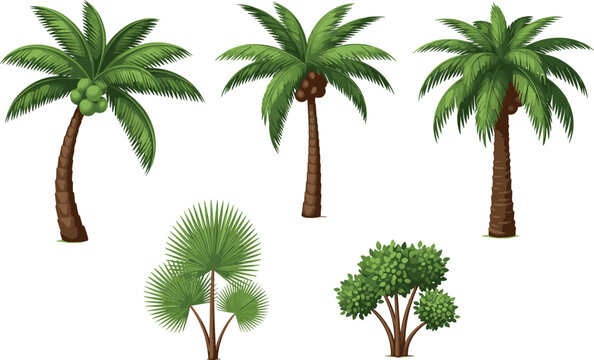 Tropical Palm Tree Vector Set Featuring Coconut Palms Fan Palms and Green Botanical Shrub Elements for Summer Beach and Nature Landscape Designs