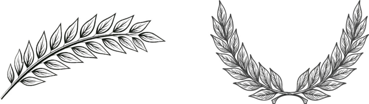 A minimalist line art doodle divider with an elegant sweeping crown and laurel branch flourish ornament, rendered in a clean black line art style against a stark white background for vector tracing