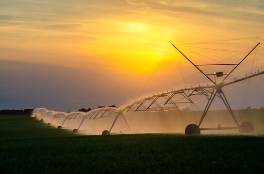 Agricultural irrigation system watering soybean field in summer