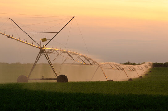 Agricultural irrigation system watering soybean field in summer