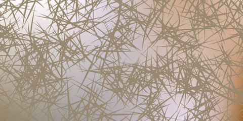Obraz premium Close up of dry grass stems in soft light.