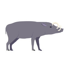 Obraz premium Adult male North sulawesi babirusa in side view flat style icon