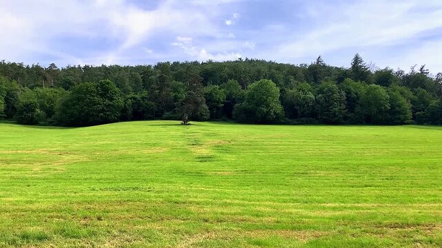 A countryside scene before a storm.