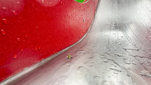 Raindrops cling to a bright red panel and pool on a metal playground slide. Water streams down the slick surfaces during a rainy day. A tiny green bud rests in the corner.