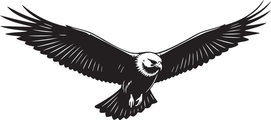 Obraz premium Black and white of a soaring bird of prey with outstretched wings raptor eagle wings spread
