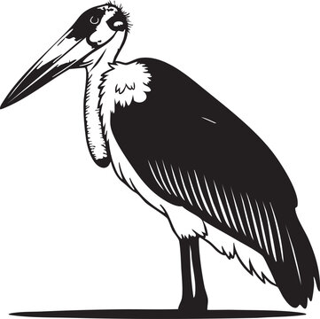 Black and white silhouette of a marabou stork standing on one leg bird single leg