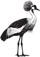 Fototapeta premium Black crested crane standing profile with tall golden feathers and dark plumage bird silhouette