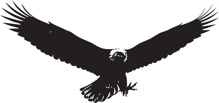 Black eagle silhouette with outstretched wings in flight bird silhouette eagle flying bird in flight