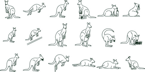 Collection of kangaroos in different action poses for Australian wildlife and safari themed graphic design projects. © Sadhin