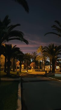 Charming tropical palm tree park pathway illuminated gently at night, establishing shot, vertical video