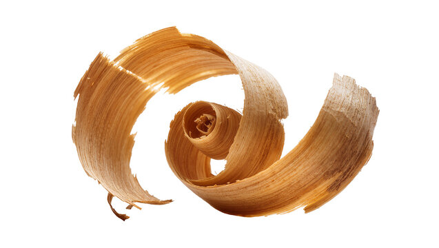 Wood shaving curl with visible grain and texture