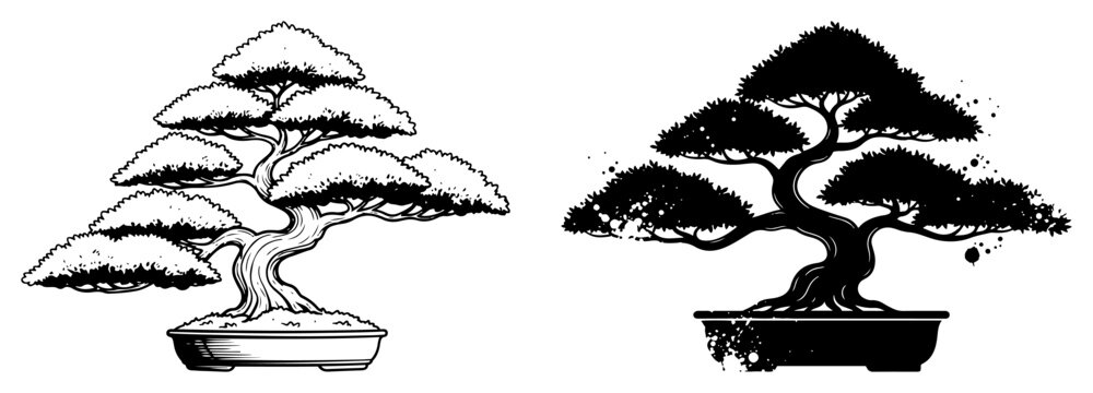 Bonsai tree set hand drawn sketch and silhouette vector for zen and japanese garden design