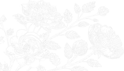 Fototapeta premium Abstract intricate line drawing of nature elements