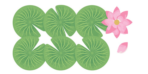 Water lily and pink lotus vector element set. Top view of green pond pads leaves with blooming oriental aquatic flower and petal. © Creative Studio 