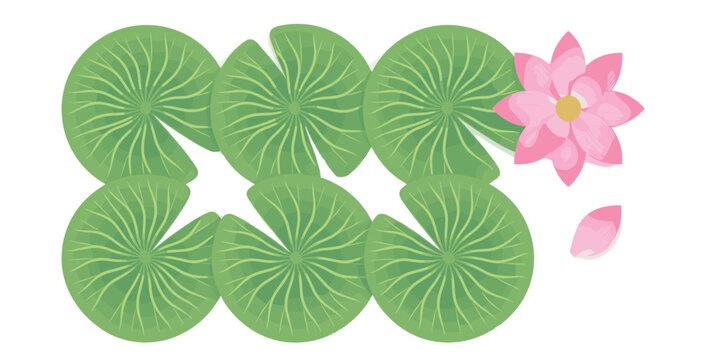 Water lily and pink lotus vector element set. Top view of green pond pads leaves with blooming oriental aquatic flower and petal.