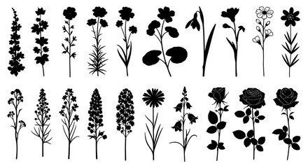 Fototapeta premium Wildflower silhouette collection, set of 20 botanical floral elements, black garden flower icons for wedding invitations and minimalist nature design