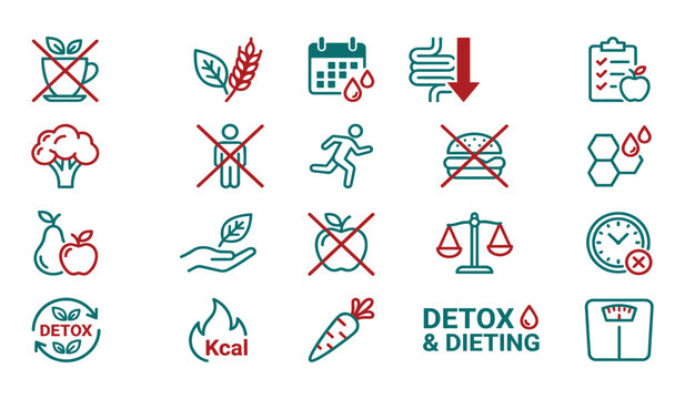 Detox and healthy dieting lifestyle vector outline icon set. Weight loss and nutrition tracking elements including organic food, calorie burning, fitness scale, broccoli, carrot and calendar.