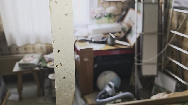 Close up of a hanging adhesive fly trap strip covered with caught flies and insects. Blurry background of a dirty, cluttered, and abandoned room
