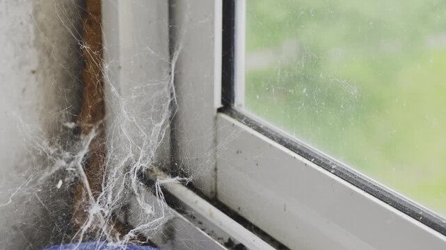 Close up of a neglected and very dirty window corner with a thick spiderweb and accumulated dust. Concept of abandonment and poor hygiene