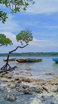 Scuba Diving Boats and Mangroves at Nemo Reef, Havelock Island, Andaman, India