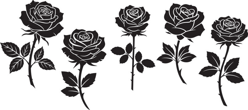 Collection of beautiful black rose flower silhouettes with stems and leaves