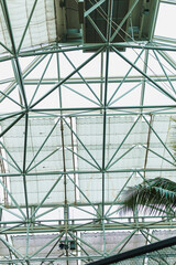 Fototapeta premium Unique view of a glass roof structure showing metal beams and sky with plants around in a modern building during daylight