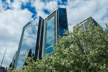 Fototapeta premium Modern buildings reflect clouds in the sky with trees in the foreground during a sunny day in a city