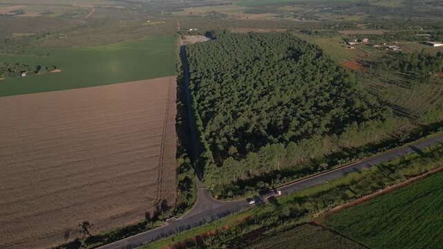 DF 130 rural highway crossing cereal cropland and eucalyptus plantation in the Rio Preto rural area Planaltina, Federal District, Brazil, with integrated agribusiness landscape in Cerrado biome aerial