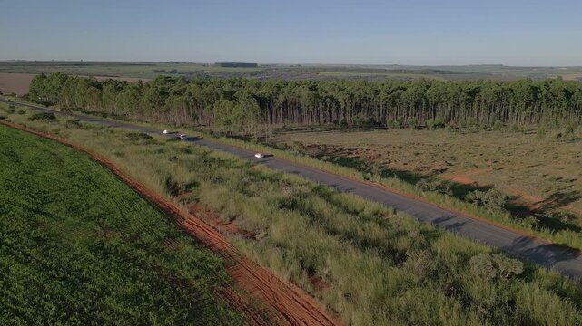 Vehicles moving along DF 130 rural highway beside eucalyptus plantation and cereal cropland in the Rio Preto rural area, Planaltina, Federal District, Brazil, within the Cerrado biome, aerial drone tr