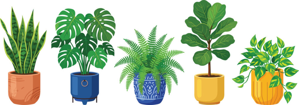 Vibrant flat vector illustration set of popular houseplants including snake plant monstera fern fiddle leaf fig and pothos in colorful ceramic pots isolated on white