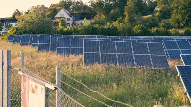 Photovoltaic panels generating renewable energy on a solar farm combined with agriculture. Pumpkins growing between rows of solar collectors