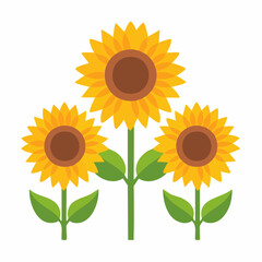 Obraz premium Three Stylized Sunflowers with Green Leaves